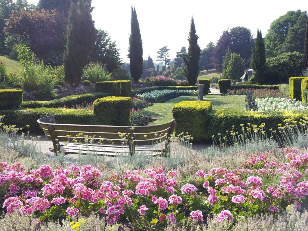 a structured park with trees, pink flowers in bloom, and a park bench